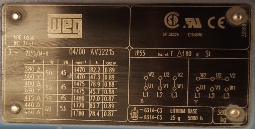 WEG 45 kW (60 HP) 1500 Devir Pik Gövde Elektrik Motoru (Avrupa) - PTC Korumalı