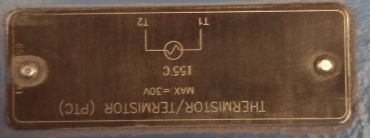 WEG 45 kW (60 HP) 1500 Devir Pik Gövde Elektrik Motoru (Avrupa) - PTC Korumalı