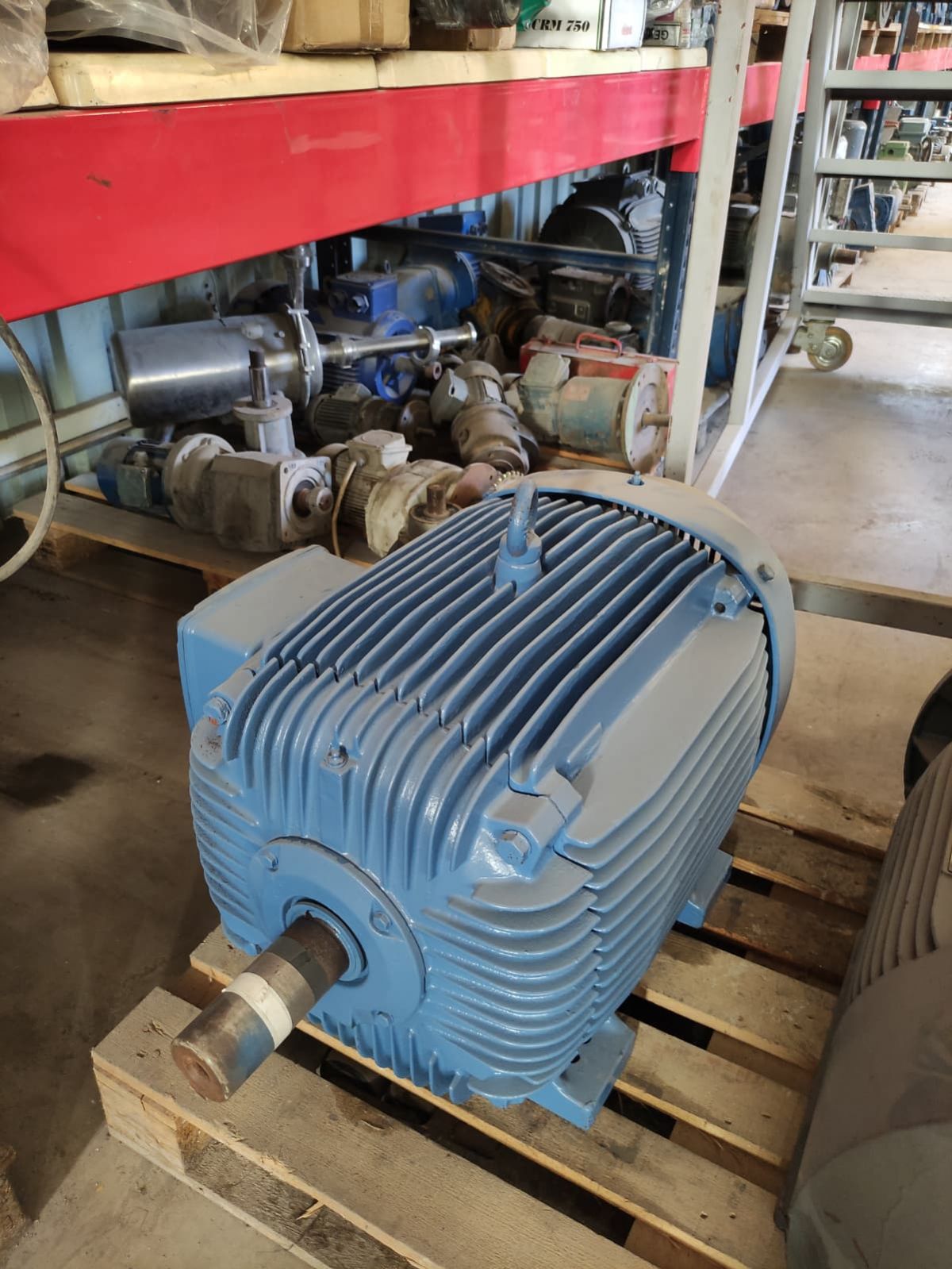 WEG 45 kW (60 HP) 1500 Devir Pik Gövde Elektrik Motoru (Avrupa) - PTC Korumalı