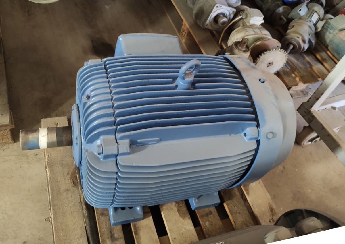 WEG 45 kW (60 HP) 1500 Devir Pik Gövde Elektrik Motoru (Avrupa) - PTC Korumalı